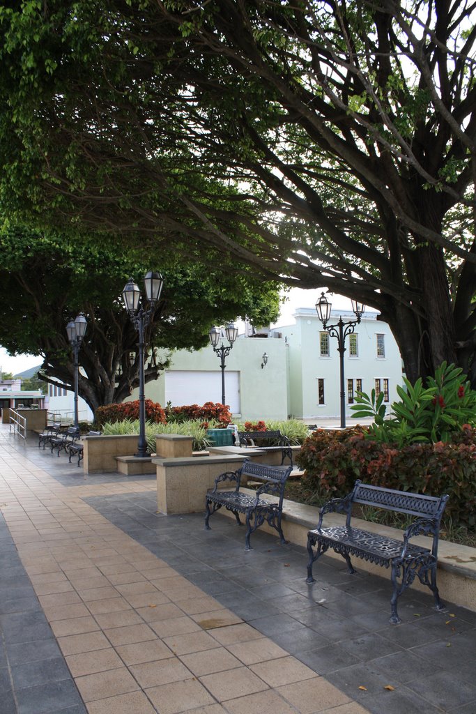 Plaza de Recreo de Maunabo by Ricardo David Jusino