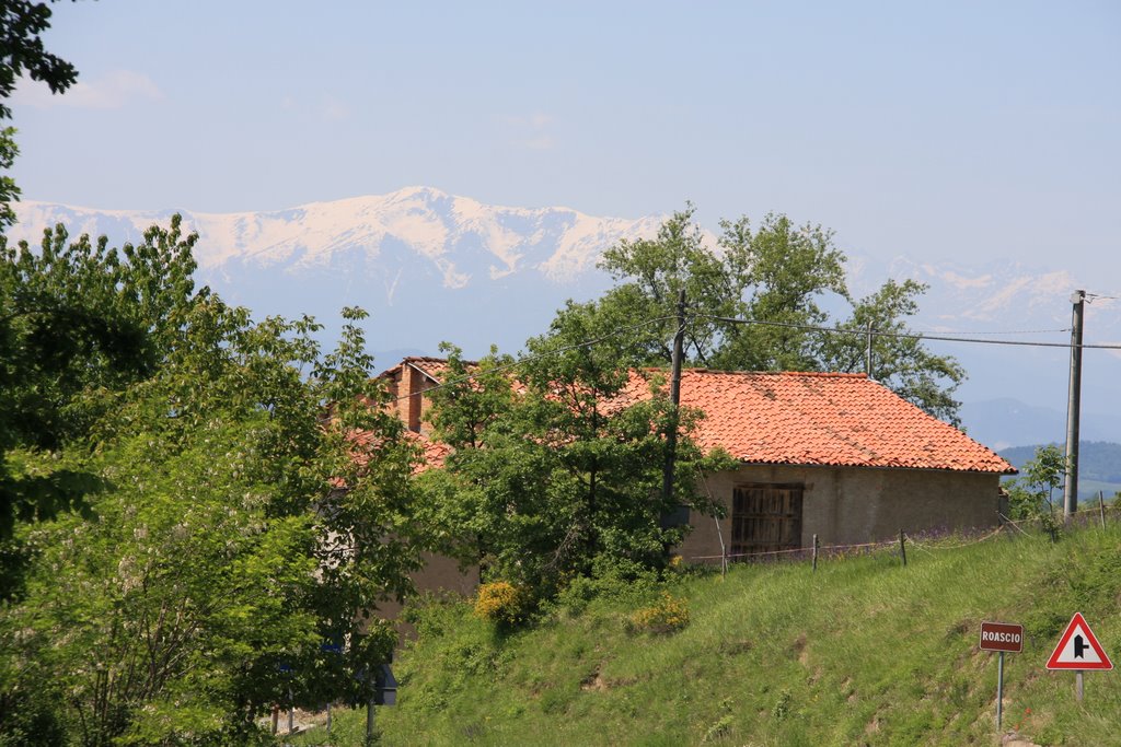 LE LANGHE by sauro oliva