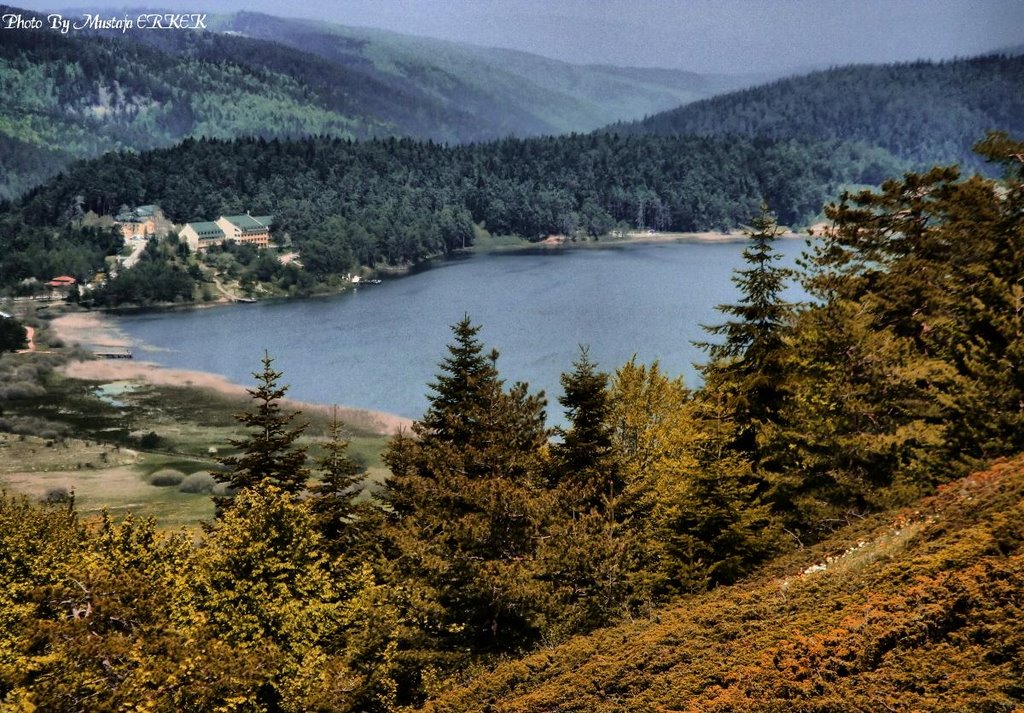 Autumn in Bolu/Turkey by © Mustafa ERKEK