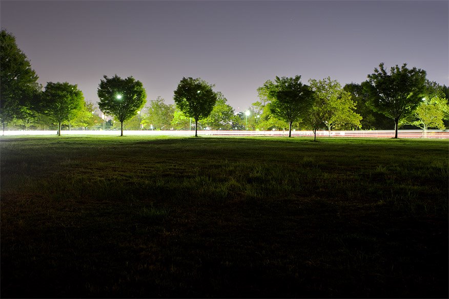 Soldiers Field Road Trees by tobogranyte