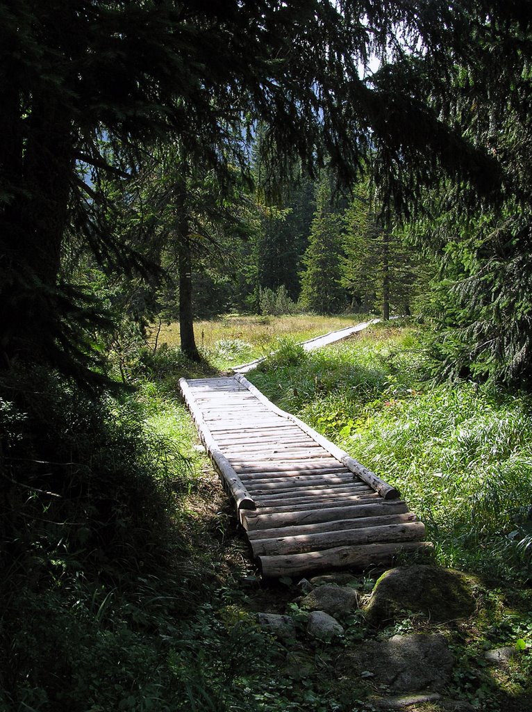 Chodník Temnosmrečanská dolina, Vysoké Tatry, Slovakia by Peter Štujber