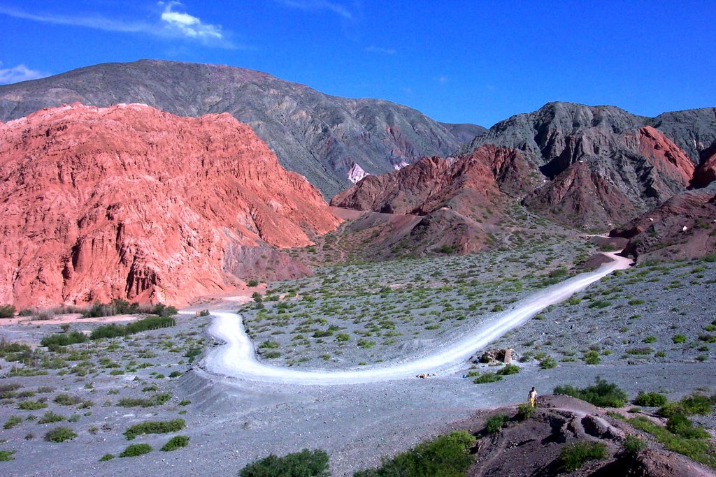 Paseo de los Colorados by matiasterraquis