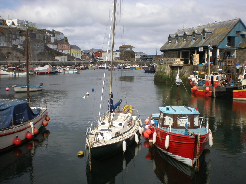 Mevagissey Fish Dock by nickh