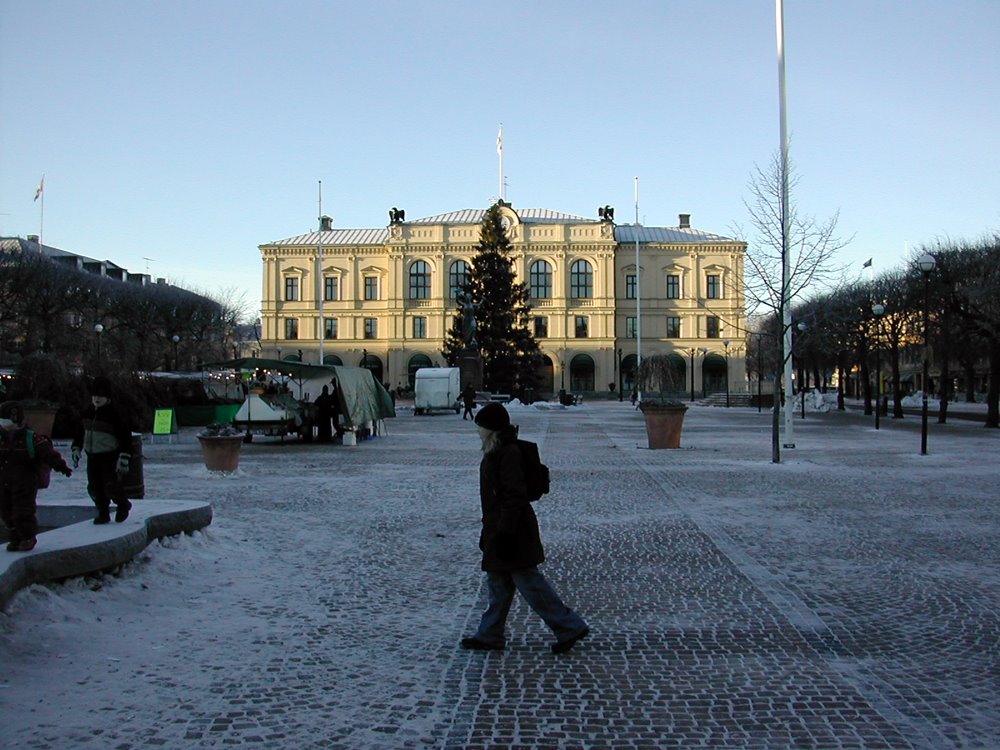 Karlstad Town Hall by Guillermo Aguilar