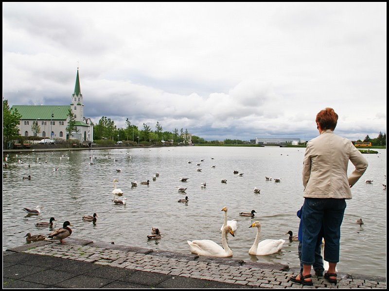 Downtown, 101 Reykjavík, Iceland by 尼尔伯