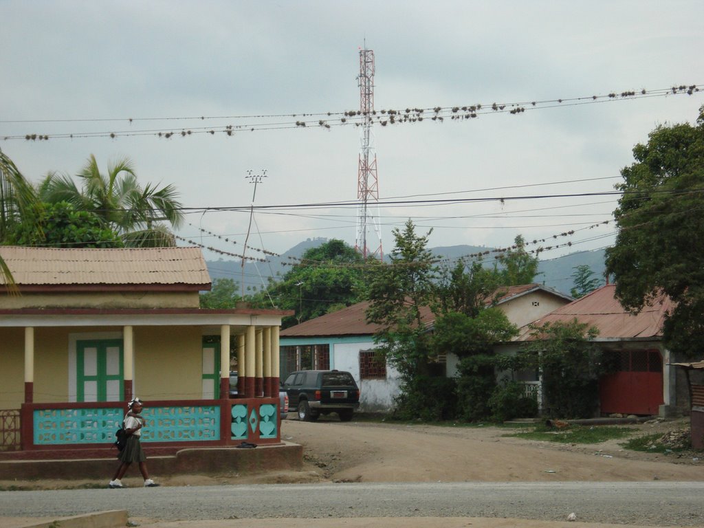 Terrier Rouge defunct power lines, working cell tower by ros42