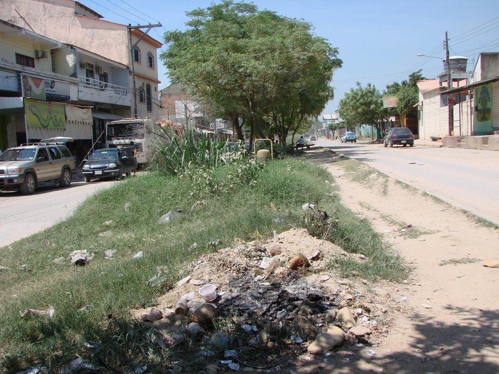 Avenida próximo à Estação Ferroviária, Puerto Quijarro, Bolivia by hoskovisk