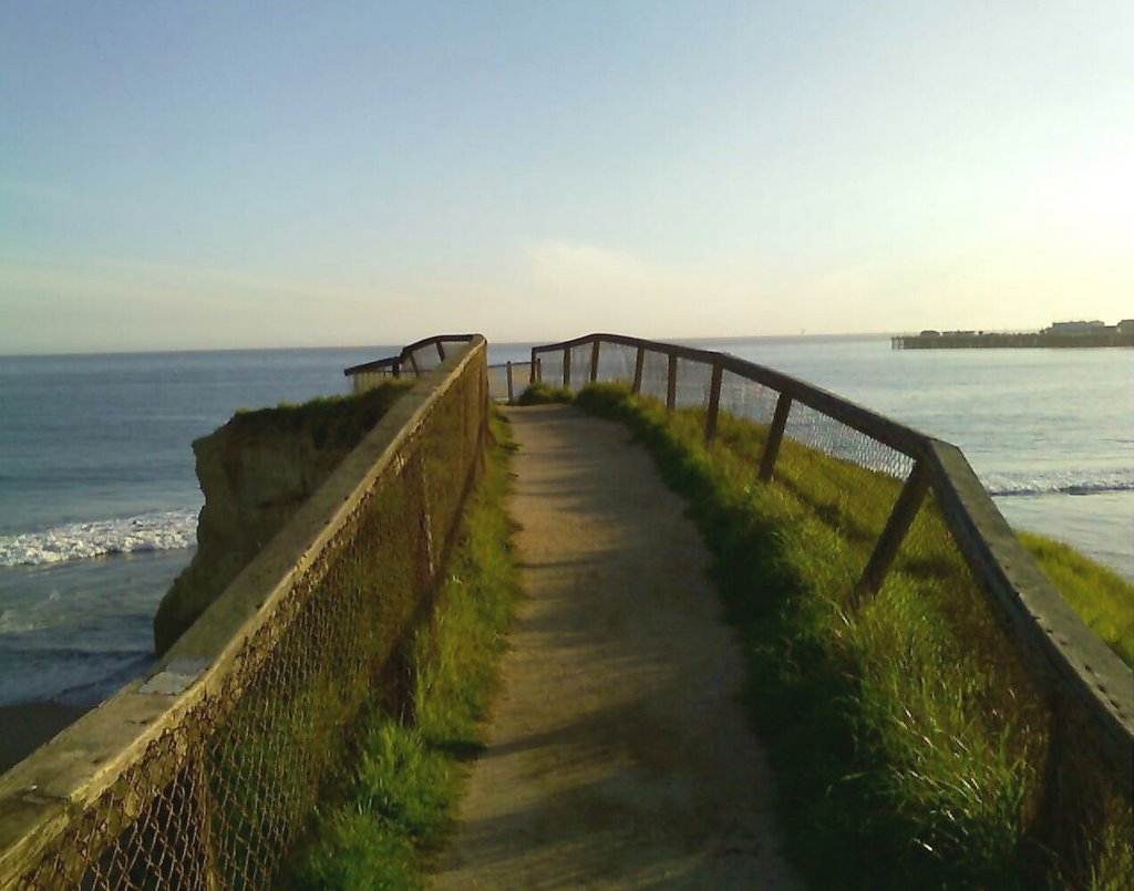 Path to Water's Edge by Brian Brown