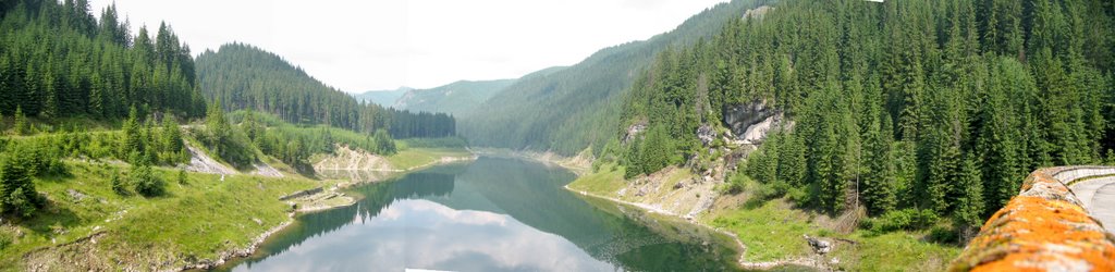 Galbenu Lake by Gilbert Gregorsch