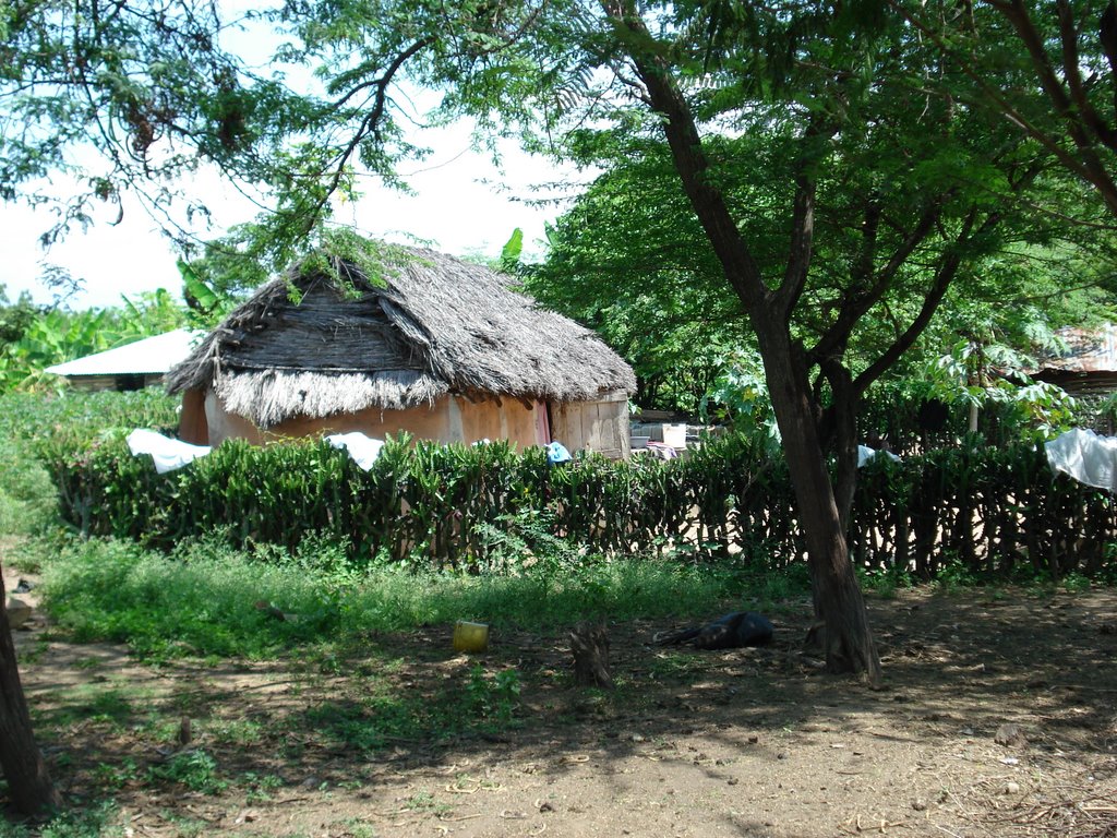 Thatched house near St Barthélémy school, Terrier Rouge by ros42