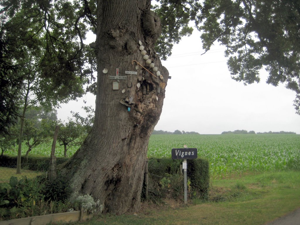 El Camino a su paso por Vignes by Pepe Arlote