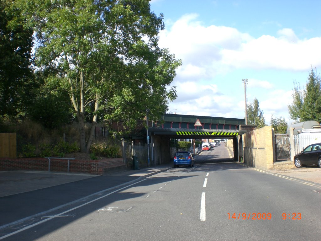 Bridge by posborne