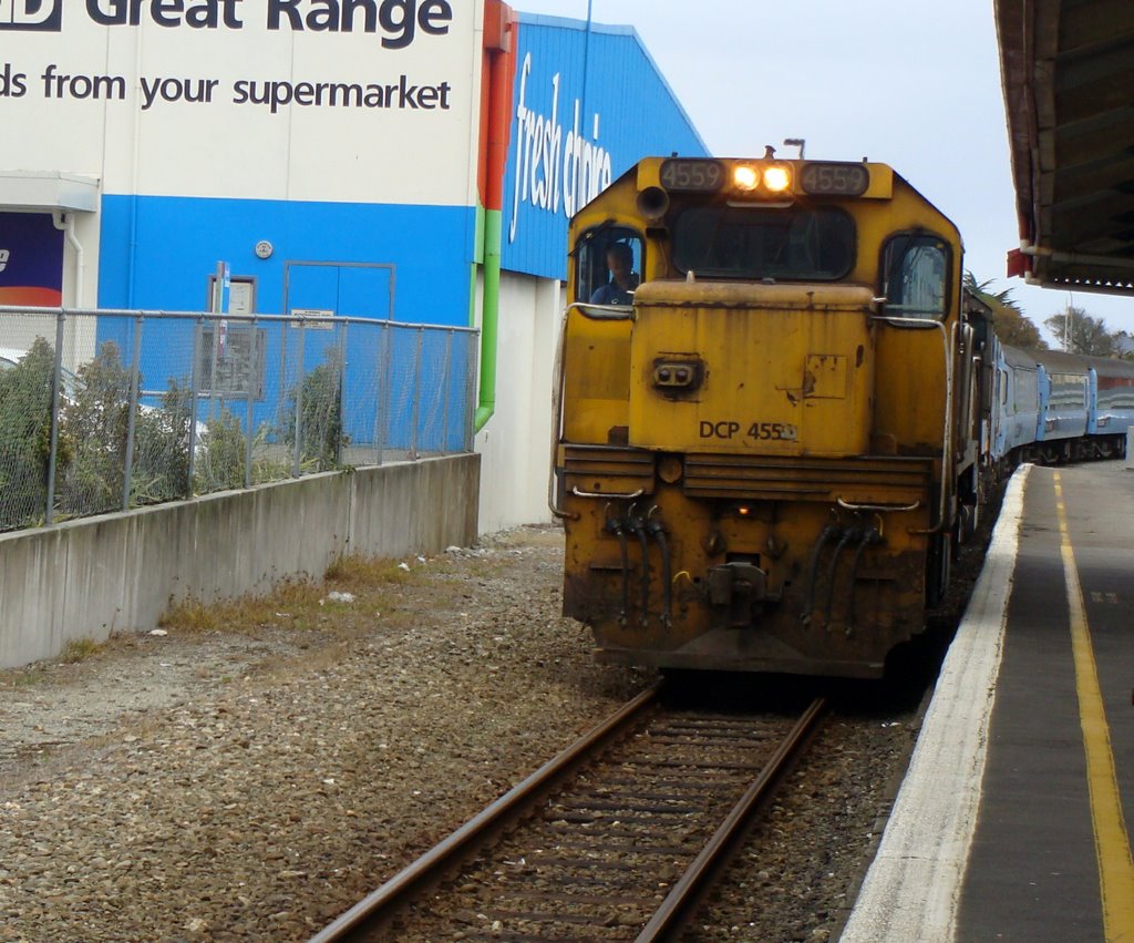 Tranz Alpine Express by Les Diamond