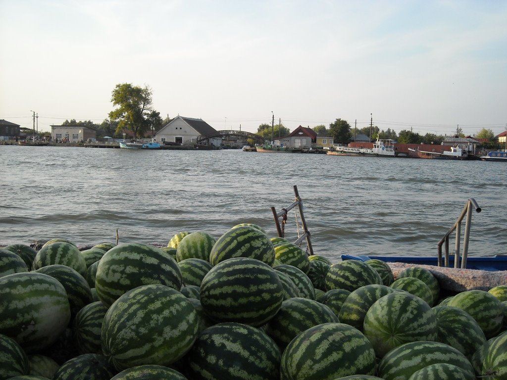 Venta de sandías junto a la orilla del Danubio. Sulina, septiembre de 2009 by viajeroandaluz