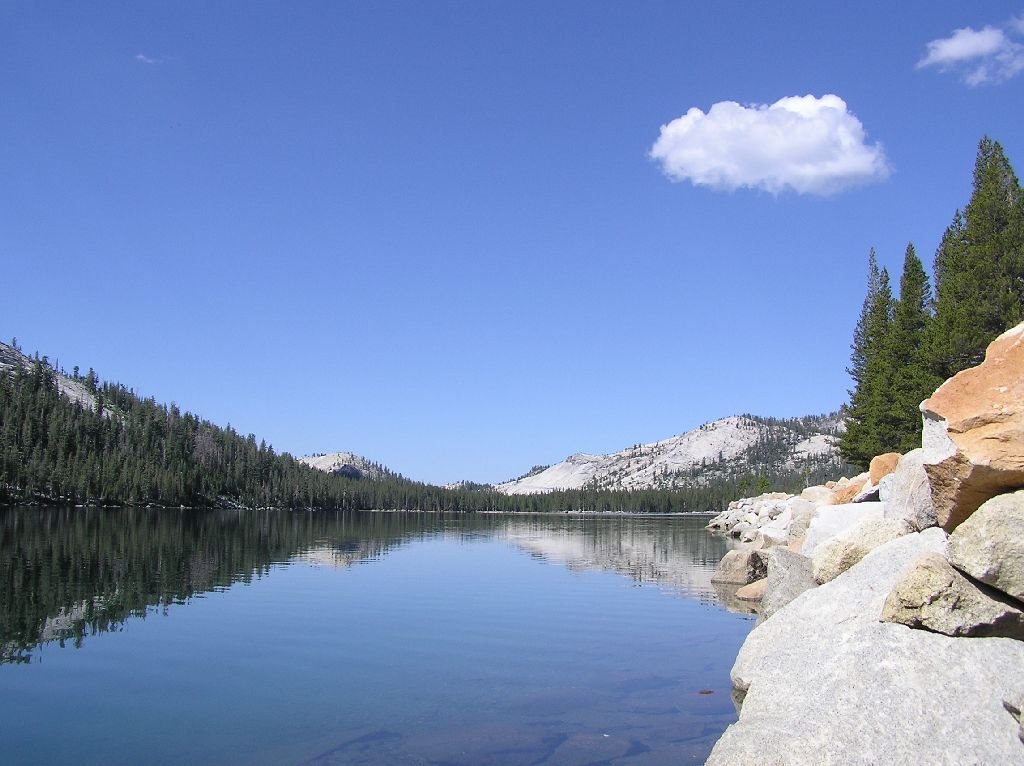 Tenaya Lake by Sven Escher