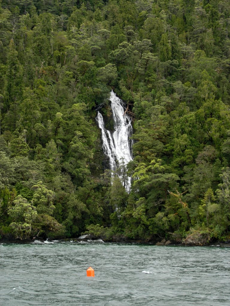 Another nice waterfall in subarctic rainforest near Fisherman's Lodge in Doubtful Sound by Tomas K☼h☼ut