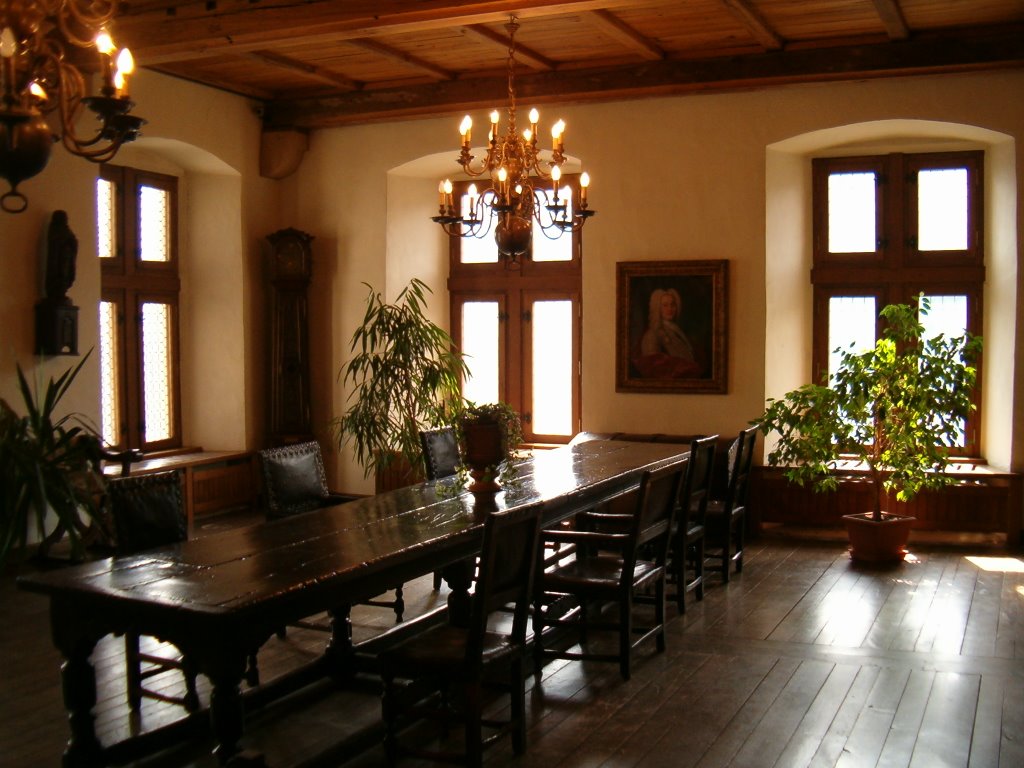 Vianden Castle (Inside) by Never