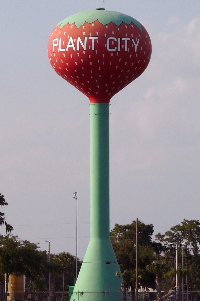 "Strawberry Capital of the World" Plant City, Florida by Leo Roundtree