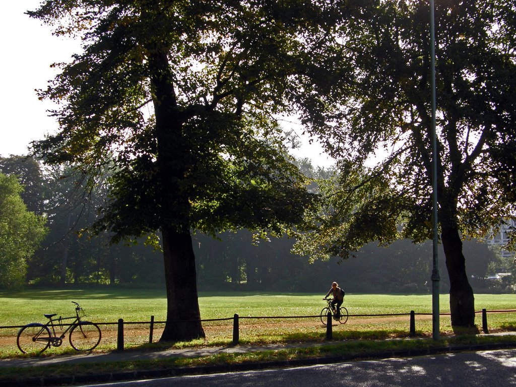 Cycling along the Backs by © Douglas MacGregor