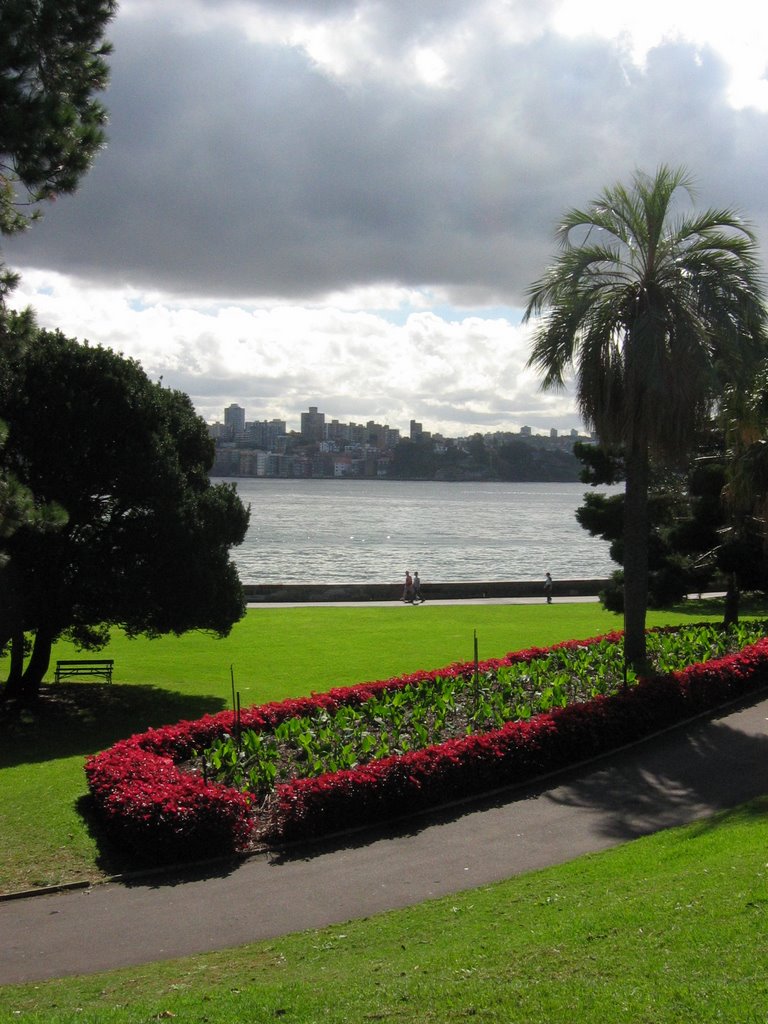 Stormy weather botanic gardens by Cjewiss