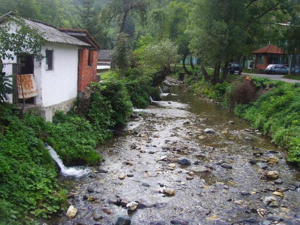 Potok-Mitrovo polje by nenad mihailovic