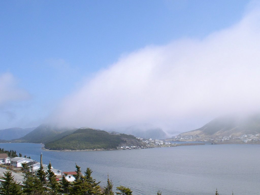 5/16/09 Afternoon fog closes in on the outer village. by crowpoint