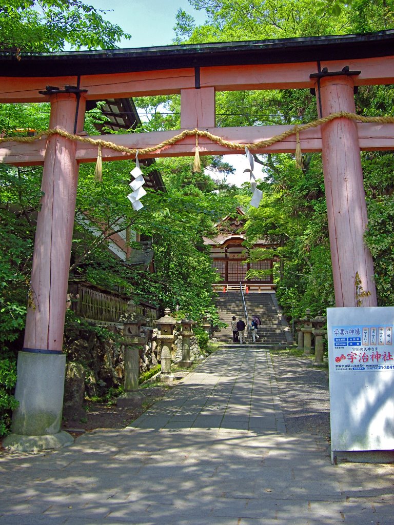 Torii at Uji Shrine by Todd Stradford