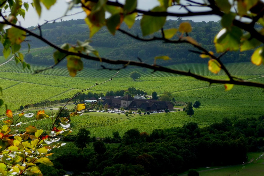 Denbies Viewed From Box Hill by Nick Knack