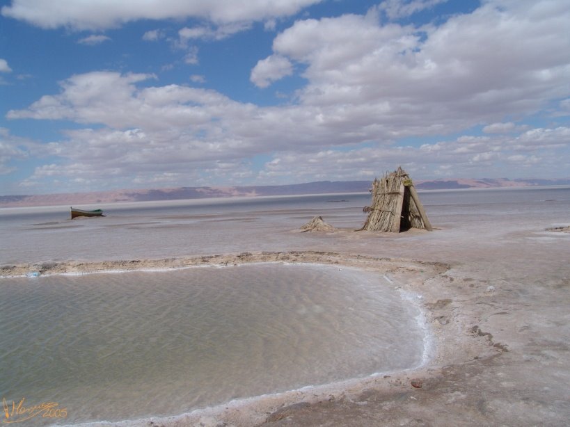 TUNISIA, Chott El Jerid by maryusz