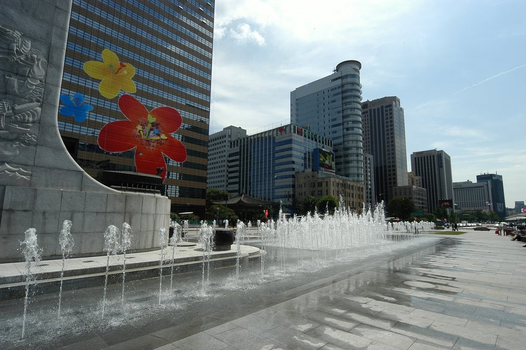 View of Kwanghwamun square-4 by 윤원진