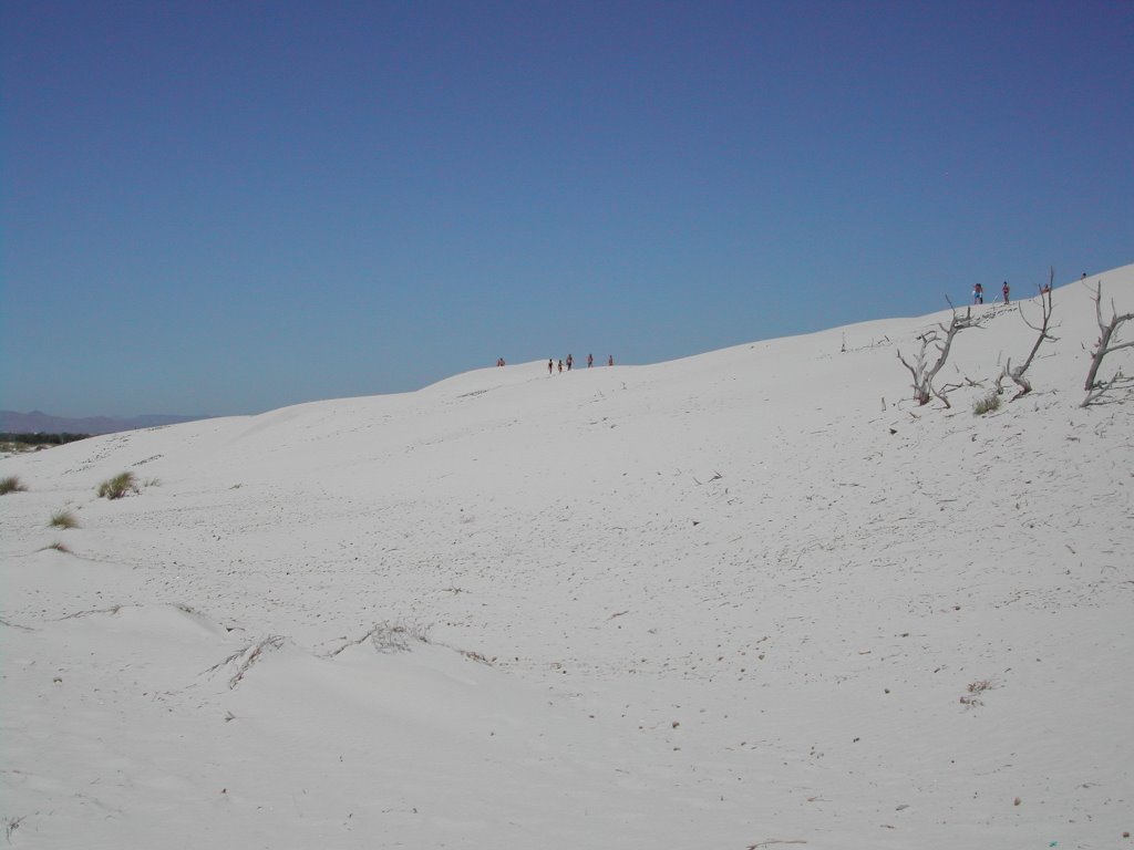 Le Dune di Porto Pino by aguarducci