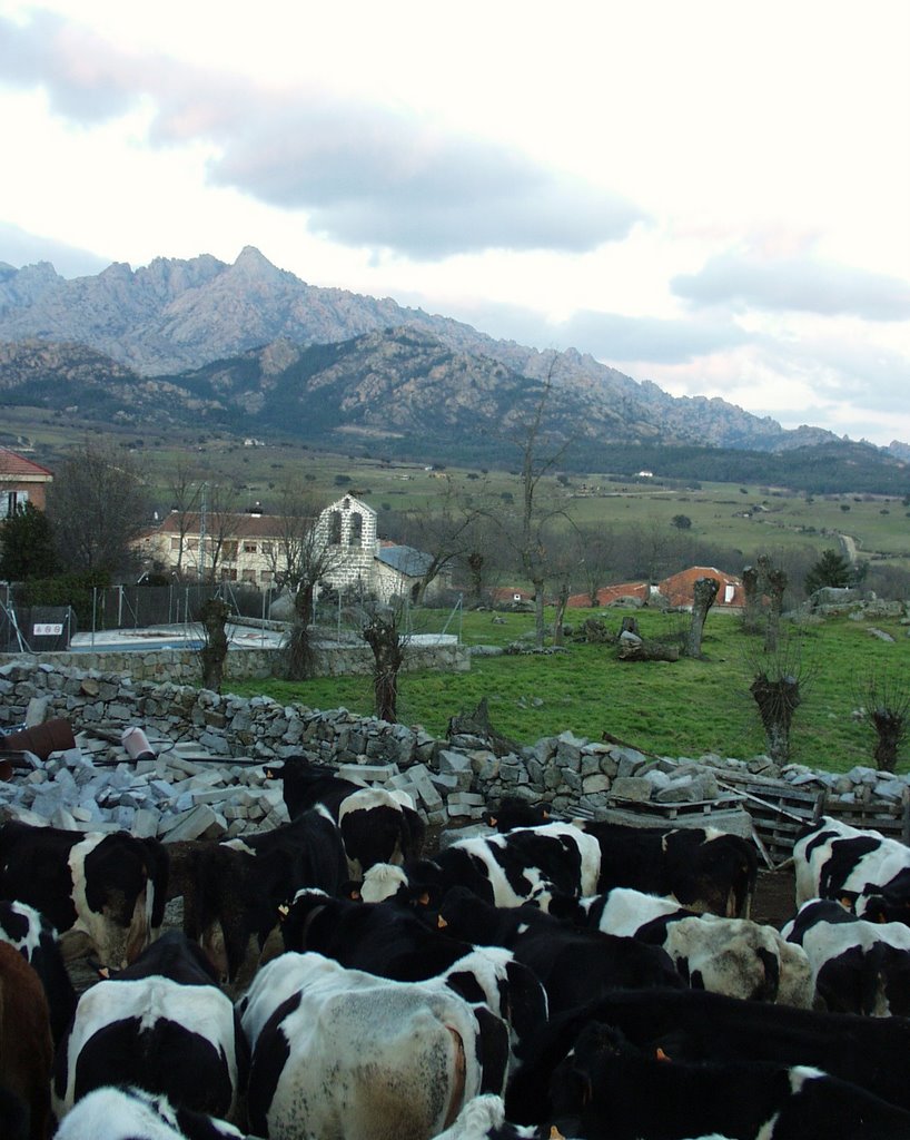 El Boalo desde "La catinga", foto para el recuerdo. by RFdez