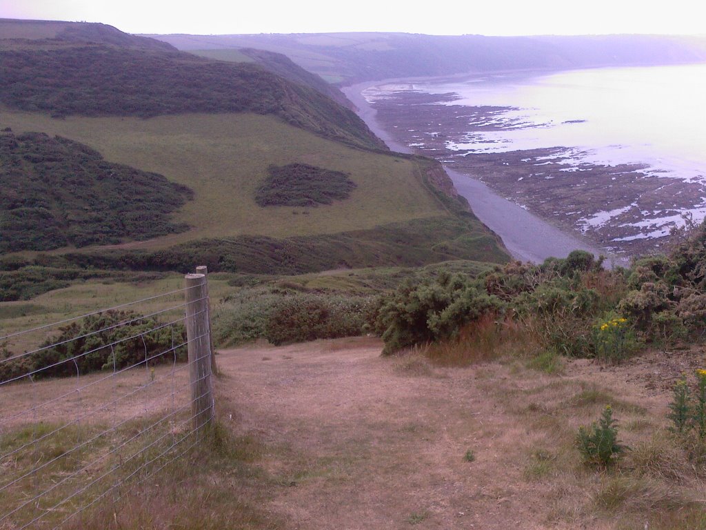 The Coastal Path Looking West by mdb90