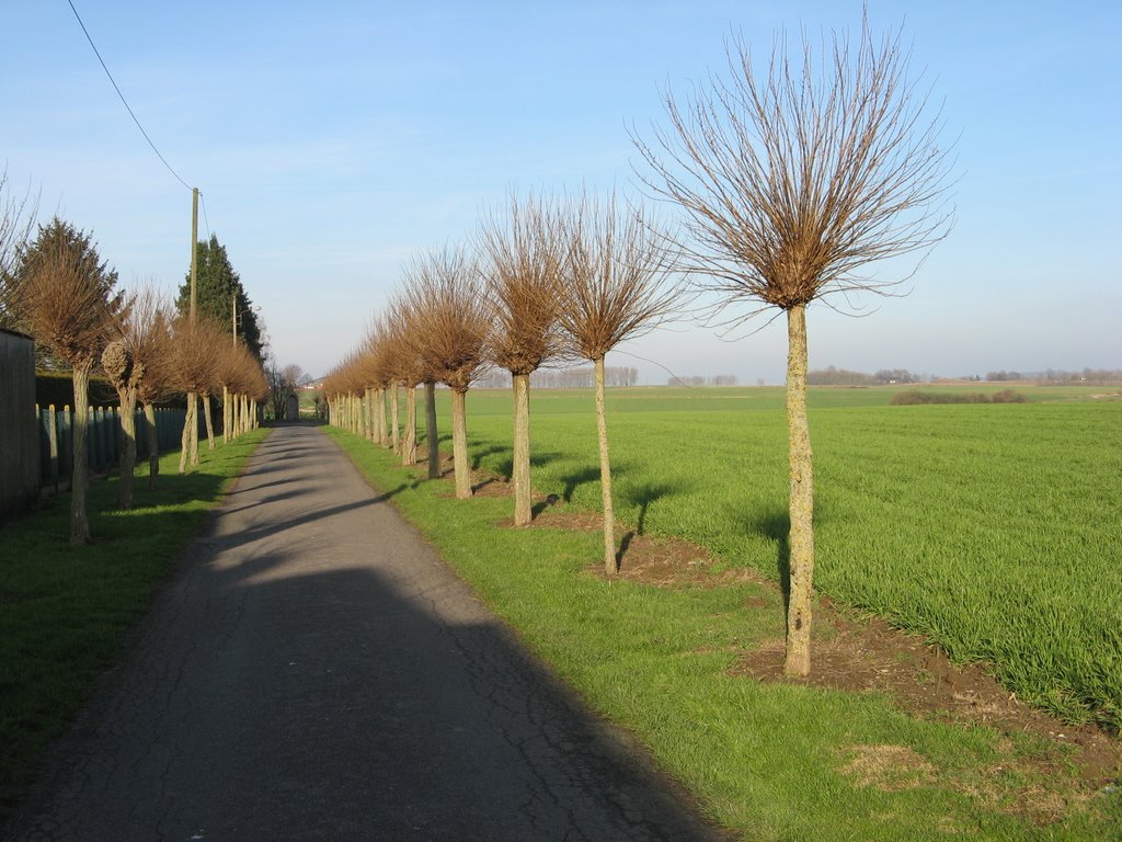 Rue de la maladrie by ediano