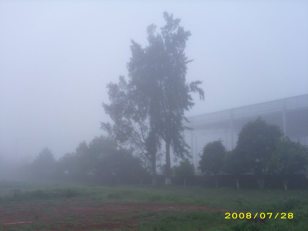 Tepatitlan, Jalisco by Su D.