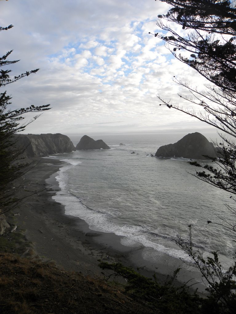 Greenwood State Beach, Mendocino County, CA, USA by MARELBU