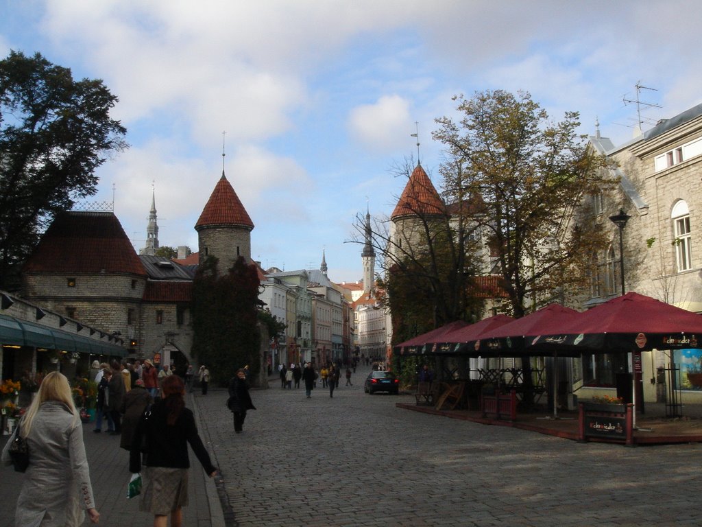 Tallinn (Old Gates) by ainars brūvelis