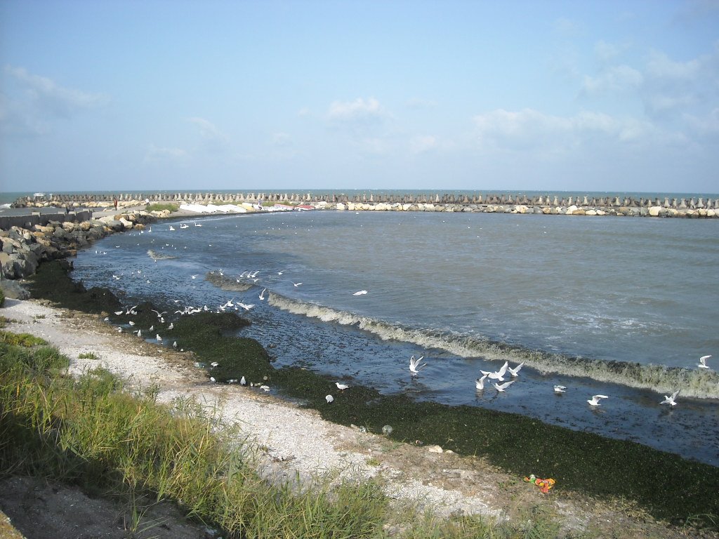 Cavidad en la playa de Mangalia. Septiembre de 2009 by viajeroandaluz