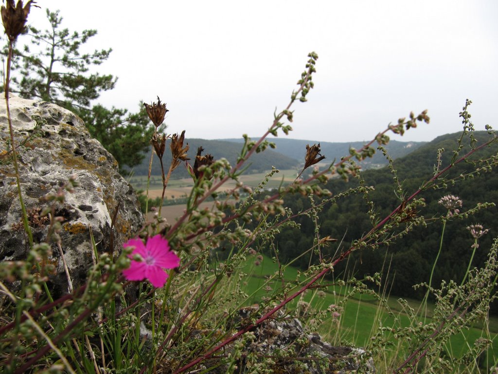 Blick vom Roßkopf by Robbystum.