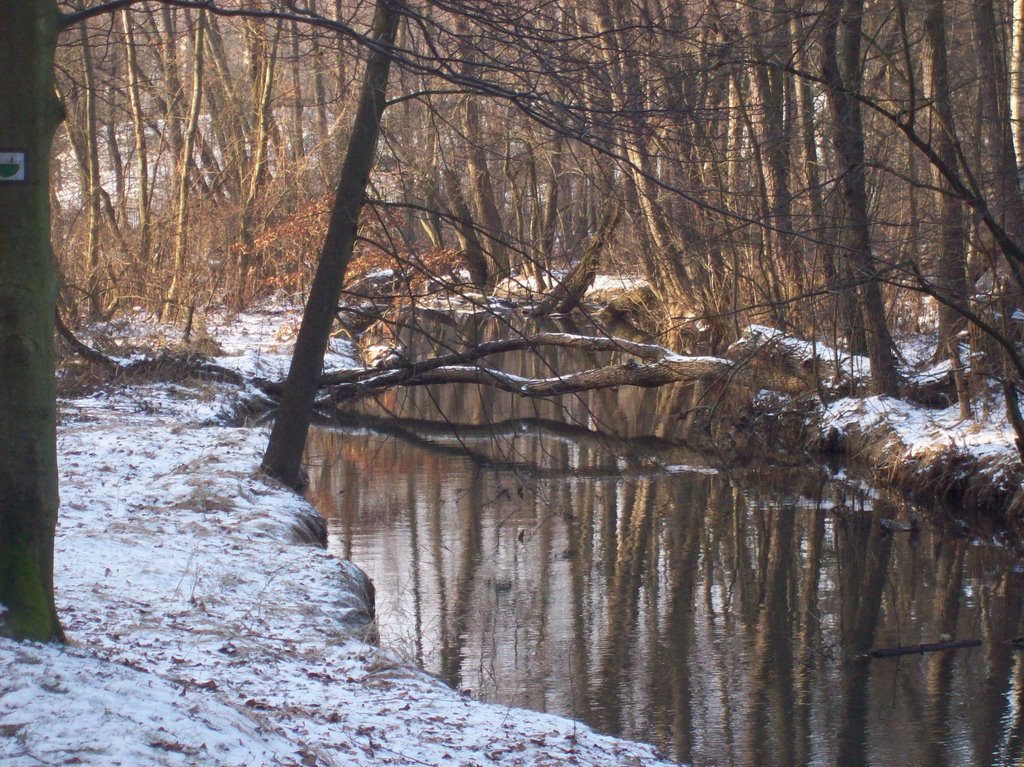 Potok, Studánka - Jablonné v Podještědí by VanekJ