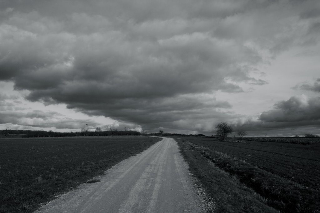 Réméréville l'hiver by fmartin1954