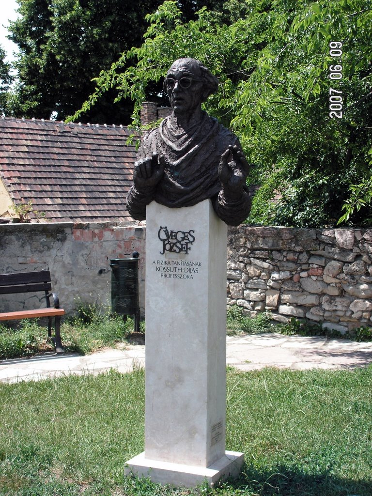 Monument of Professor Öveges, Tata by Zoltán Büki