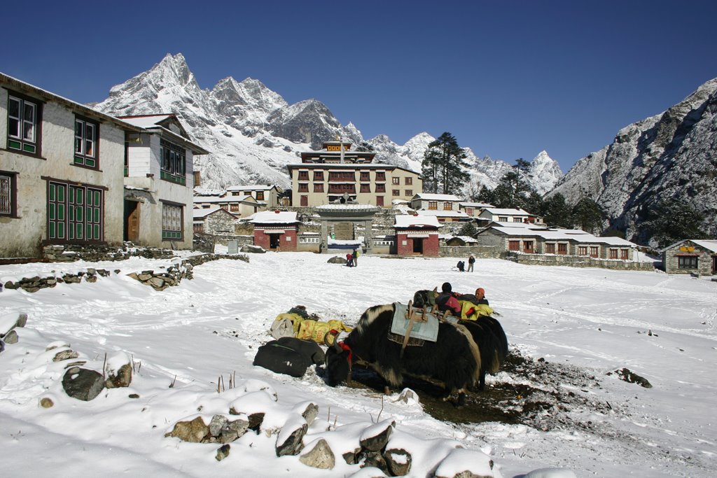 Local Transport at Tengboche by EverOptimistic