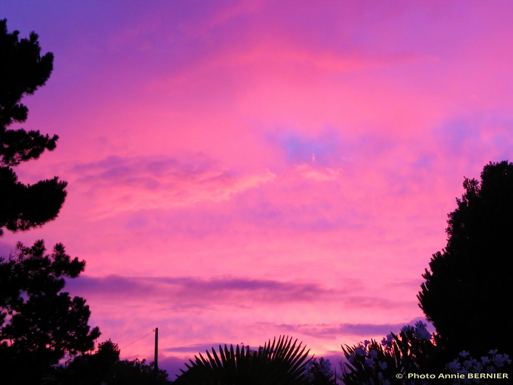 Coucher de soleil rte d'Arçay by Annie Chaigneau Bernier