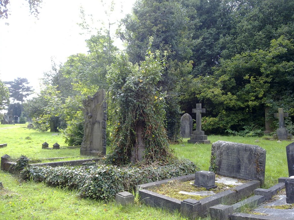 Cathays Cemetery by welshcake