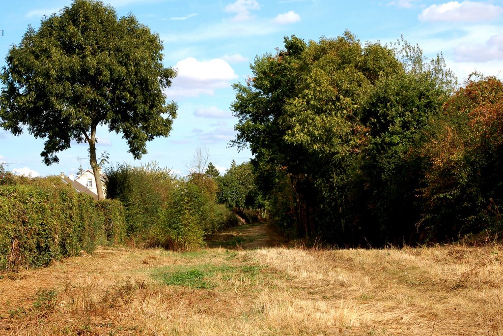 Ancienne ligne Evreux-Verneuil (vers Evreux) by fvexler