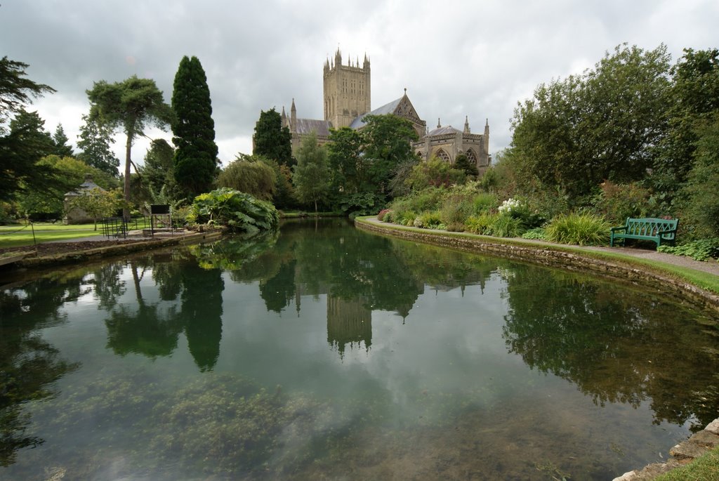 Reflections Of Wells Cathedral by njellis