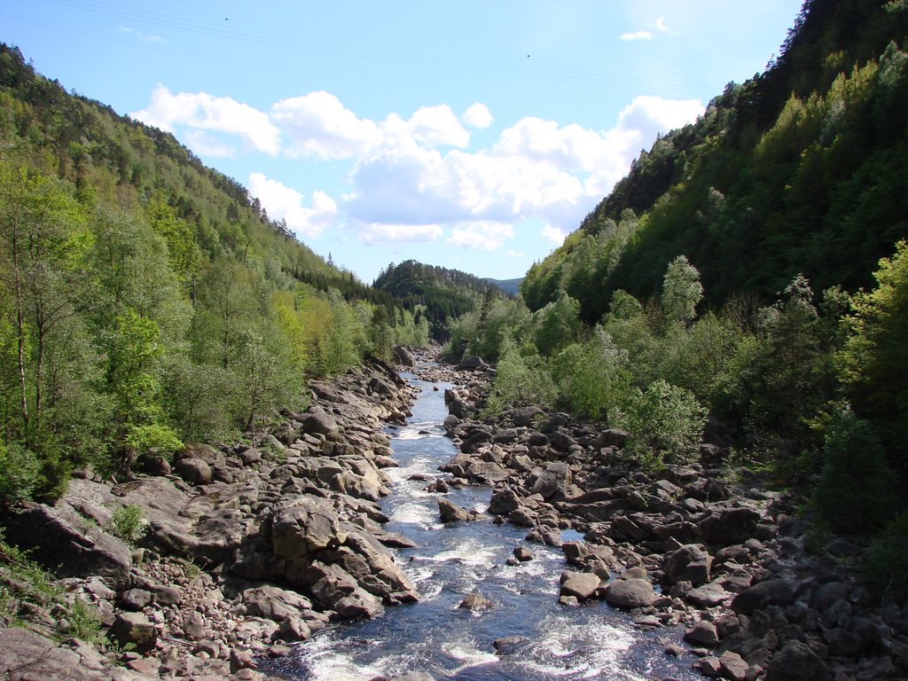 Rauschender Fluss im Tal by Minifahrer