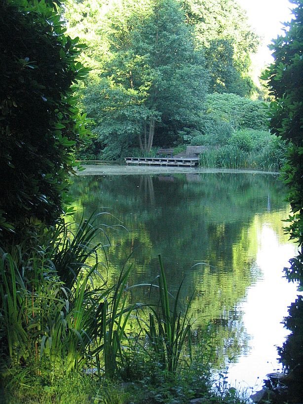 Ohlsdorfer Friedhof by knirschke