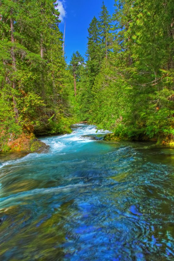 A Day on the Mckenzie River Oregon by © Michael Hatten http://www.sacred-earth-stud